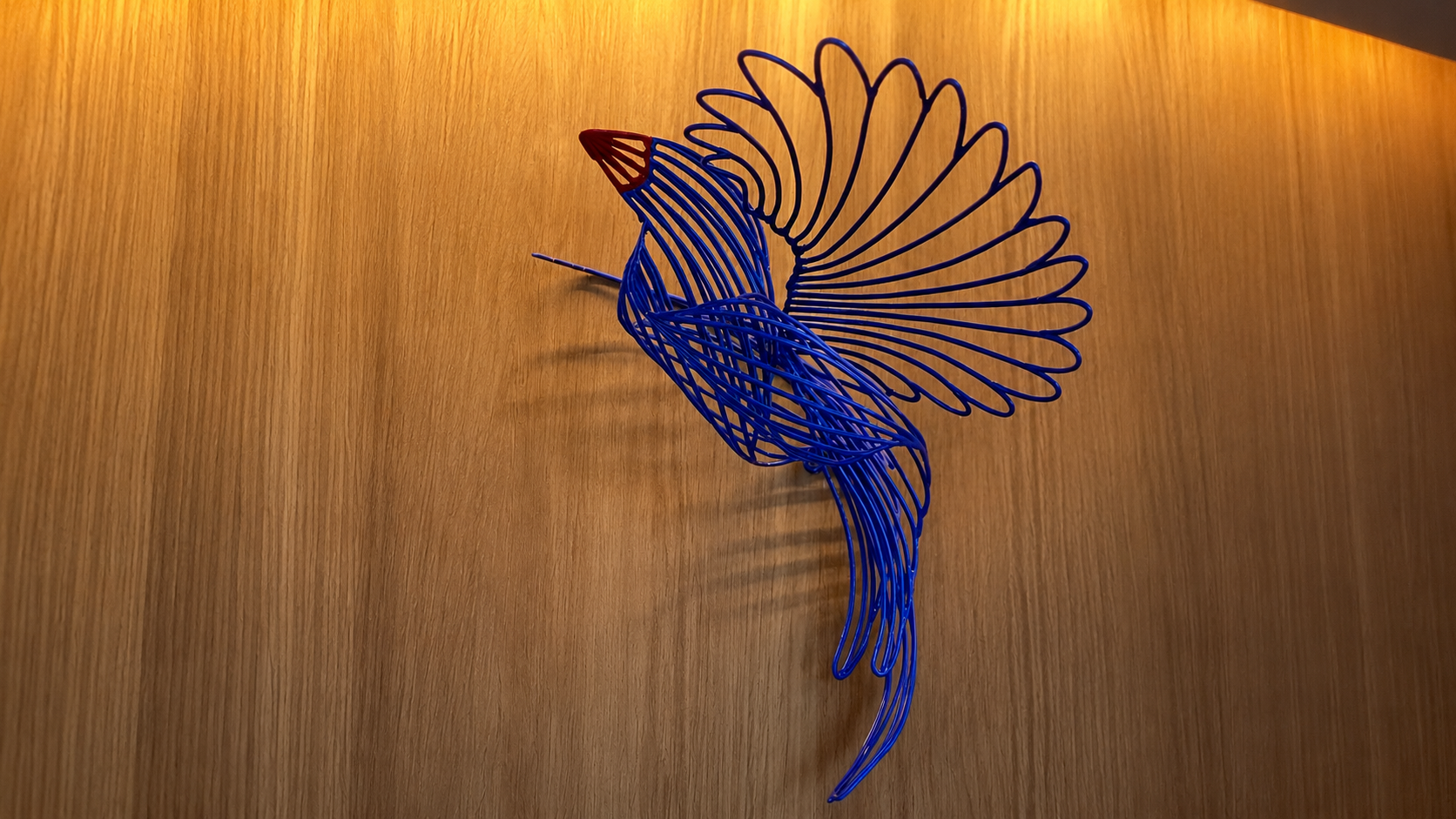 Bird - Indigo Alishan